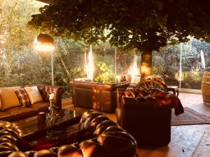 Chesterfield English 5